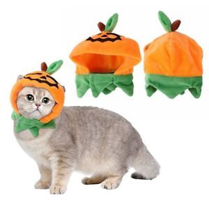 Adjustable Cute Funny Headdress Cat Hat Pumpkin Costume Halloween Cosplay Cap