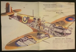 SPITFIRE : COLOUR CUTAWAY OF THE NEW SPITFIRE : MODIFIED AFTER BATTLE OF BRITAIN - Picture 1 of 9