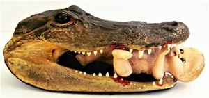 Creepy Horror Real Taxidermy Alligator Head Eat Baby Doll Art Rhinestones OOAK - Picture 1 of 9