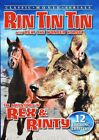 Rin Tin Tin - Adventures Of Rex And Rinty (Dvd) Jr. Kane Richmond Mischa Auer