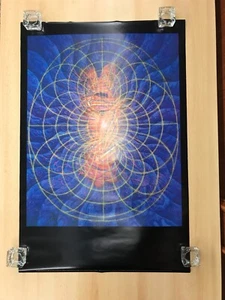 Poster Alex Grey Tantra #1254 1991 24" x 36" - NOS - Foto 1 di 8