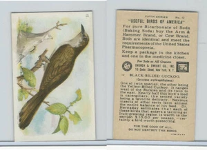 J9-1, Church & Dwight, Useful Birds America 5th Ser., 1925, #12 Black-b Cuckoo - Bild 1 von 1