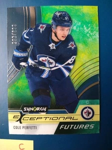 2021-22 Upper Deck Synergy Exceptional Futures Cole Perfetti #EF-CP /899 - Picture 1 of 2