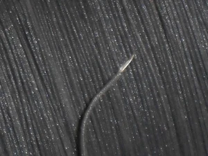 100 ft. coil of Western Electric 24 GAUGE BRAIDED CLOTH, SILK ,TINNED COPPER - Picture 1 of 7