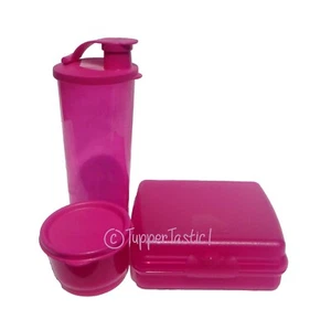 Tupperware NEW Lunch Set 3 pc Sandwich Keeper Tumbler Snack Cup in Fuchsia Pink - Picture 1 of 2