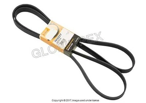 Jaguar VP XJ8 XK8 XKR (1997-2002) Drive Belt (Accessory Drive) CONTITECH OEM - Picture 1 of 1