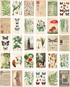 Cartolina d'epoca set confezione da 30, cartoline estetiche retrò natura botanica per scrapbo - Foto 1 di 12