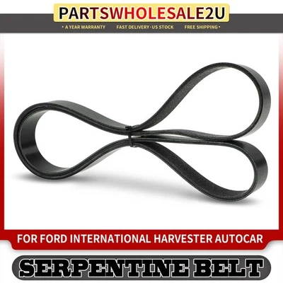 Cinto Serpentine 60,59" para Ford C Series L Series International Harvester 2574 - Imagem 1 de 4