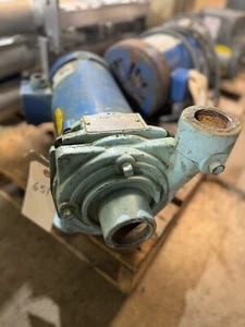 Sterling Peerless Pump Model PE150C3 1 3/4 Inlet 1 1/2 Outlet (Item No. 651) - Picture 1 of 2