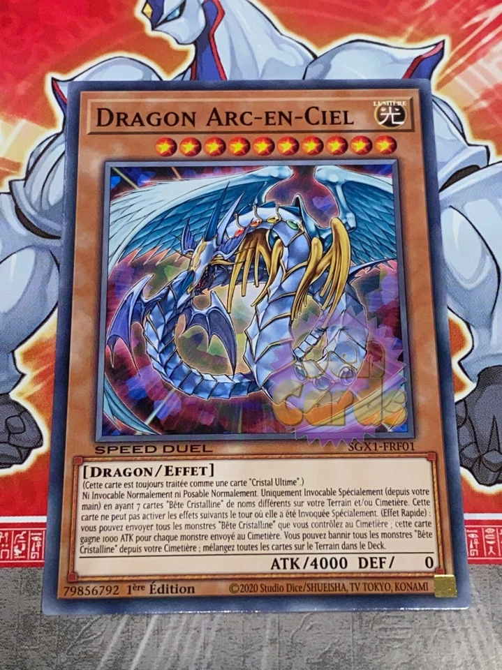 Carte YU GI OH DRAGON ARC-EN-CIEL SGX1-FRF01 x 2 - Photo 1/1