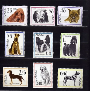 POLAND #1115-1123 MNH COMPLETE SET OF DOGS - Picture 1 of 1