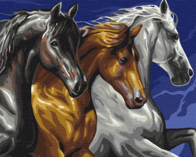 Pintar por números con marco de madera Trío de caballos - Imagen 1 de 4