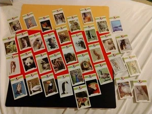 Eye Know LOT (36) Insects/Animals🐛 TRIVIA IMAGE oddball iconic cards Free Ship - Picture 1 of 9