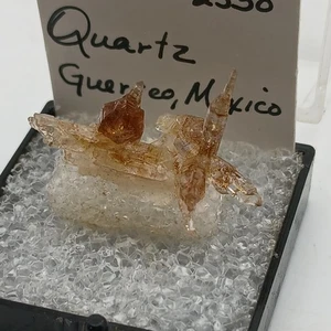 Brown Tip Solution Quartz Micro Display Guerreo Mexico Old Stock V.L.Hawkins Est - Bild 1 von 11