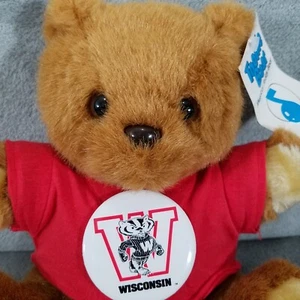 Toonie Bear Peluche Universidad de Wisconsin Tejones Alfiler Juguete Musical 9" VER VIDEO - Imagen 1 de 9