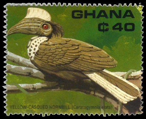 GHANA 1224e - Yellow-casqued Hornbill "Ceratogymna elata" (pb64167) Cover