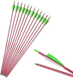 Aluminiumpfeile 30'' Pfeile Jagdpfeile Bogenpfeile Aluminium Sp500 Recurve bogen - Picture 1 of 14