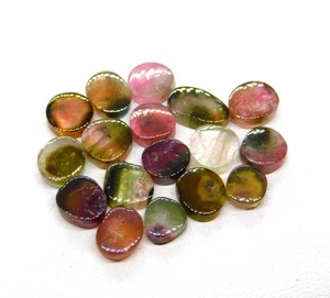 Natural Rainbow Bi-Color Tourmaline Slices 17 Pcs Tourmaline Slices Lot 15.60 Ct - Picture 1 of 7