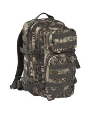 US Assault Pack small Molle, Rucksack, Wandern, Outdoor, Military, Camping -NEU-