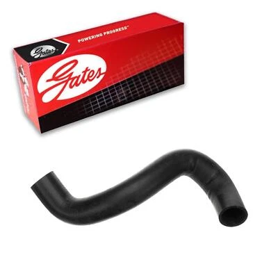 Gates Radiator Coolant Hose Lower For 1992-1994 Ford F-350 5.8L V8 GAS Foto 1 de 3