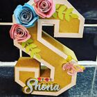 Customised 3D Paper Letters & Numbers, Party, Table/Room Decor, Baby Shower.