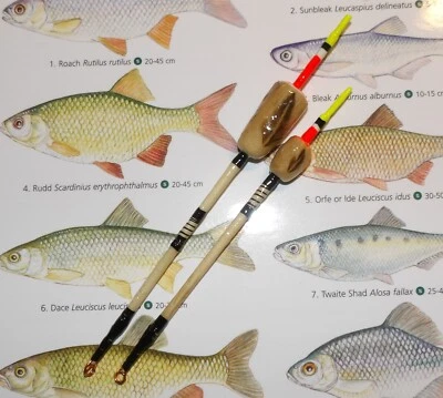 DUE GALLEGGIANTI ARTIGIANALI INGLESI 'SALDERBERRY & WELSUMMER'. - Immagine 1 di 4