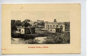 (Gx105-100) Zoological Gardens, CALCUTTA, India c1910 VG Perris, #116 - Picture 1 of 1