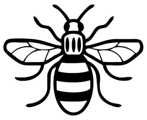 CALCOMANÍA PEGATINA MANCHESTER ABEJA/COCHE/VAN/VENTANA DORMITORIO ABEJORRO - Imagen 1 de 2