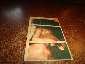  1954-55 Parkhurst Wrestling Trading Cards no 33 Wee Willie Davis wwe wcw wwf 