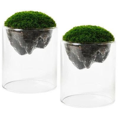  2 Pcs Mini-Flaschen Dekoflaschen Mini-Glasbehälter Winzige Gläser - Bild 1 von 4