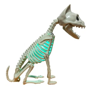 Halloween lebensgroße Katze Skelett Figur führte totes Tier Skelett Prop Dekor - Picture 1 of 11
