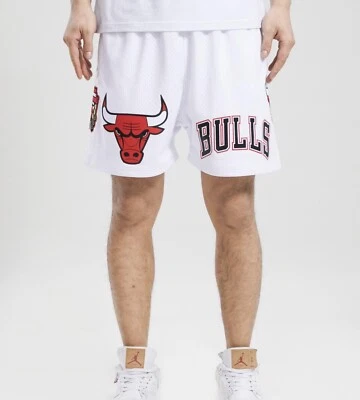 PANTALONES CORTOS PRO STANDARD CHICAGO BULLS LOGO MALLA BLANCOS — Pantalones cortos de 6 pulgadas Foto 1 de 4