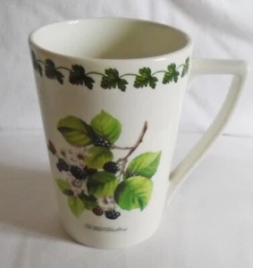 Portmeirion Pomona Wild Blackberry Cup Mug 12cm tall vgc - Picture 1 of 4