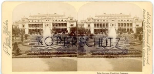 JARVIS PUBLISHERS imagen estéreo foto PALMERAS JARDÍN en FRANKFURT AM MAIN fuente - Imagen 1 de 2