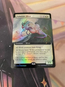 MTG - PULMONIC SLIVER - FOIL - RARE - EXTENDED ART - NM - SECRET LAIR - Bild 1 von 1