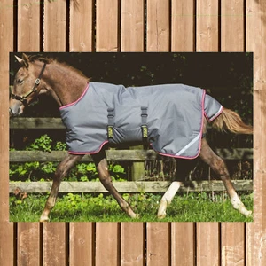 Amigo Foal Rug medium, Amigo Fohlen Decke 200 g, wasserdicht, Regendecke Fohlen - Bild 1 von 3