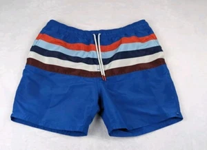 Boden Men's Swim Shorts Size Large Blue Striped Lined Swim Trunks Pockets - Picture 1 of 8