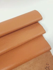 Peach Caramel Ostrich 2024 Embossed Texture Leather - Picture 1 of 3