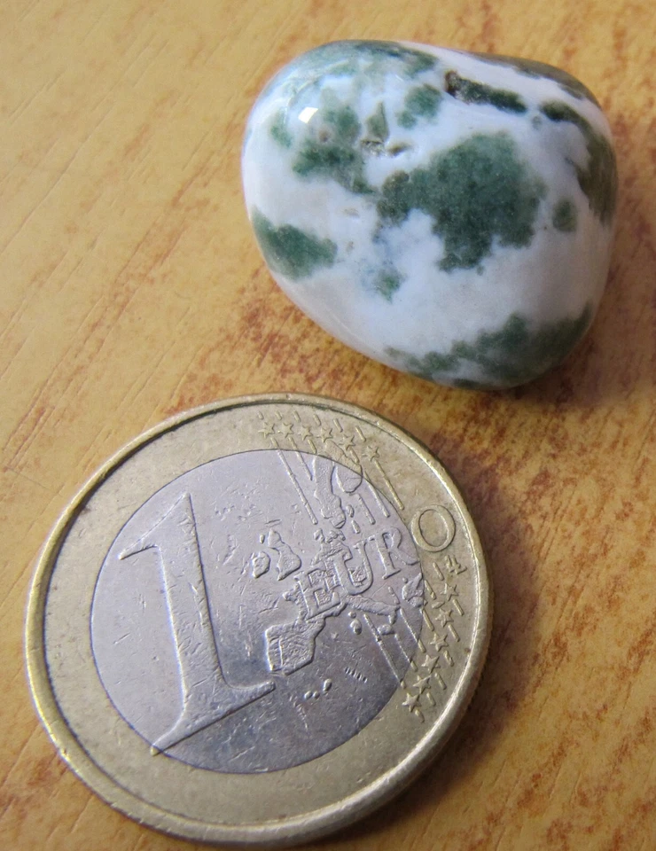 AGATE arbre Origine INDE - Pierre roulée - Lithothérapie - NEUVE -Semi précieuse - Photo 1/1