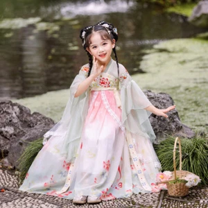 Chinese Girl Ancient Hanfu Embroidered Tang Suit Cute Traditional Dress Princess - Picture 1 of 14