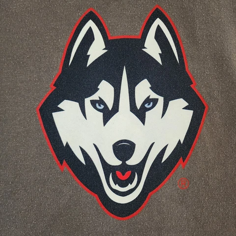 University Connecticut Huskies Gray Hooded Pullover Sweatshirt Men's L (bin29) Cover