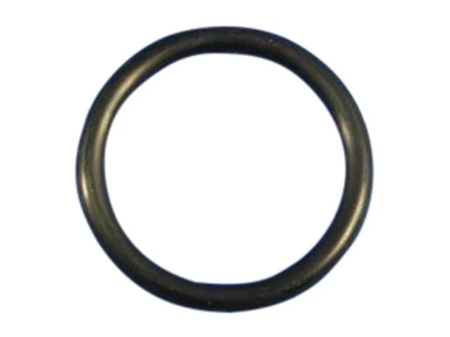 Junta tórica de manguera de refrigerante de radiador para 11 Ram 3500 4500 5500 6,7 L 6 cilindros VIN: L DP48R3 Foto 1 de 1