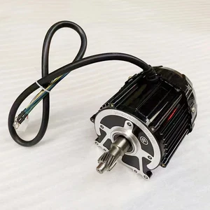 Elektro Dreirad Motor 60V72V800W1000W1100W1200W Universal Reinkupfer Motor - Bild 1 von 26