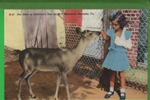 Vintage Postkarte kleines Mädchen & Haustier Hirsch im Zoo Mill Mountain Roanoke Virginia VA - Bild 1 von 4