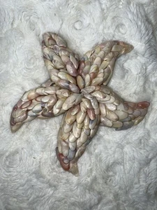 Hausgemachte handgefertigte Muschel Kunst Set mit drei Seepferdchen Seestern Kurios SCHÖN - Bild 1 von 22