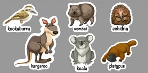 AUSTRALIAN ANIMAL STICKER SET - Picture 1 of 2