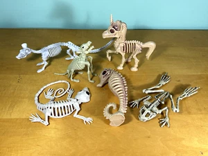 Halloween Animal Skeleton Bones Lot Mouse, Unicorn, Frog, Iguana, & More!! - Picture 1 of 12