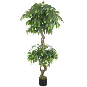 Künstliche Japanische Fruticosa 150cm 5ft Ficus Baum Grün Realistische Kunstpflanze - Bild 1 von 1