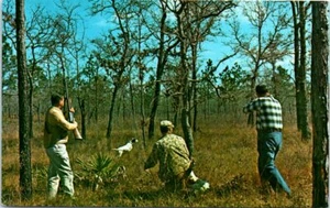 Postal de colección FL Riverside Villas Caza Reserva Homosassa Springs 3 hombres y perros - Imagen 1 de 2