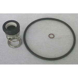 Dayton Pump Shaft Seal Kit, Seal Type 21 4JMY8 Dayton 4JMY8 190735326909 - Picture 1 of 1
